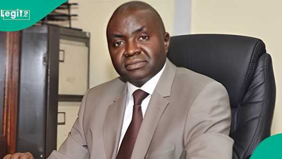 Trump’s military threat could crash investor confidence, worsen naira, CPPE warns