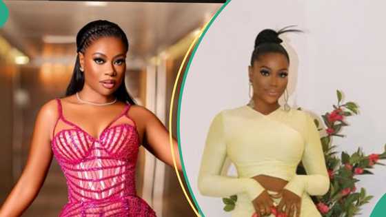 Sophia Momodu celebrates birthday with risque eye-catching photos, fans drool: “She was a fairy, Yh"