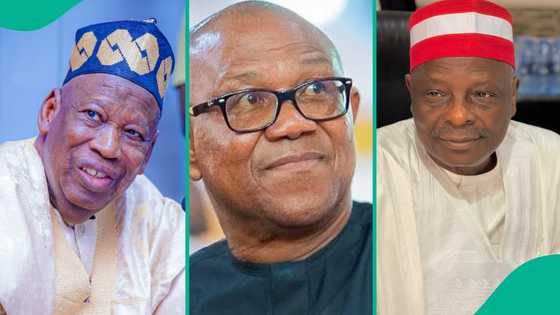 Ganduje ya tsokano NDC da Obidents, sun yi masa raddi mai zafi kan taba Obi, Kwankwaso