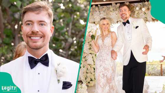 World's biggest YouTuber MrBeast marries longtime partner on billionaire's private island