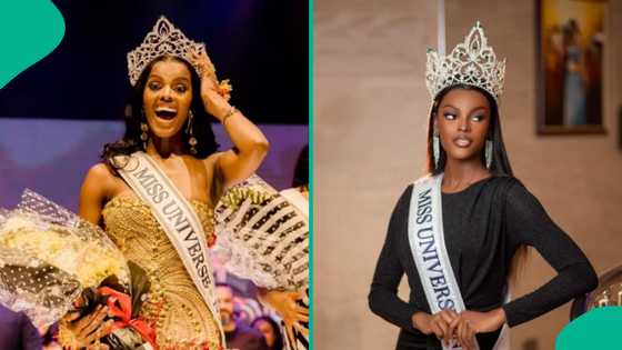 Chidimma Adetshina to be stripped of South African ID, travel documents: “Witch hunt hasn’t ended”