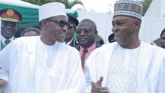Ya Ci Amanarsa: Jigon PDP Ya Bayyana Alaƙa Da Ke Tsakanin Buhari Da Saraki a 2015