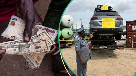 CBN updates customs exchange rate, importers to pay more to clear goods at airports, ports