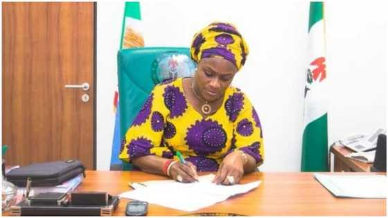 2023: Presidential seat open only to university degree holders? APC Rep speaks