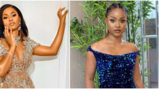"I had the best time": Big Bella beats Chichi, Adekunle and Daniella to emerge 3rd runner-up