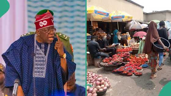 Tinubu's govt orders traders to crash food prices, issues ultimatum