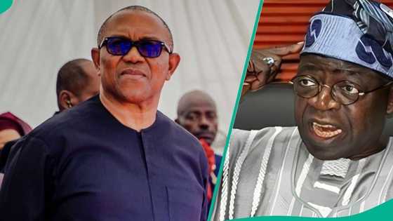 2027 election: Peter Obi speaks on next action the North will take if he finally defeats Tinubu