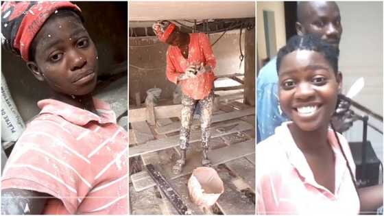 "She's breaking barriers": Reactions as young lady shows off profession as plasterer, video goes viral