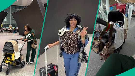 Priscilla returns to Tanzania with Rakeem, beams with joy, shares plush video, pics: “Looking fresh”