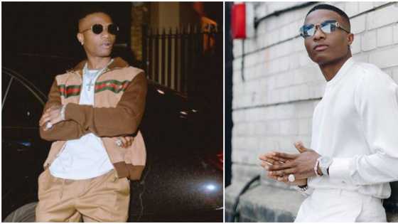 Make Wizkid a statue in Lagos: Man says as he reveals singer has the best album game in the last 10 years