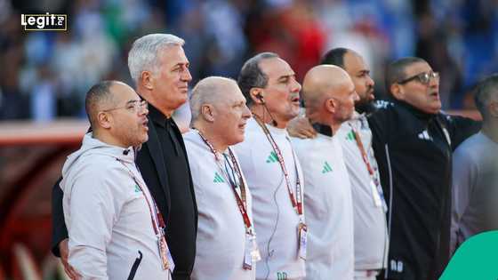 AFCON 2025: Algeria files protest to CAF after quarterfinal 2-0 loss to Nigeria