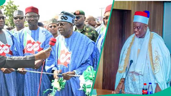 'Tinubu na mayar da Najeriya kamar Lagos': Sarkin Lafiya ya faɗi abin da suka gani a Ikko