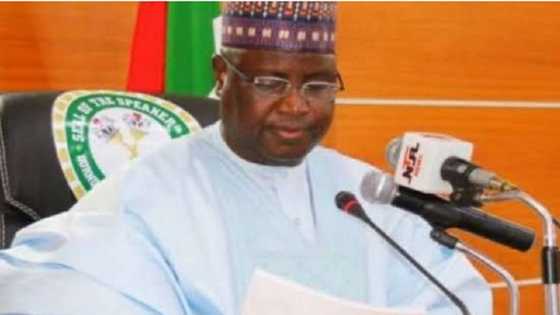 Tsawon Shekaru 6 Ƙaramar Hukuma Ta Tana Ƙarkashin Ikon Boko Haram, Kakakin Majalisar Borno Ya Koka