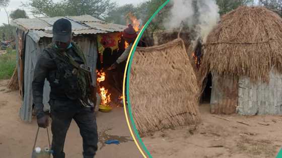 Jubilation as troops kill 24 Boko Haram/ISWAP terrorists, recover weapons in offensive operations