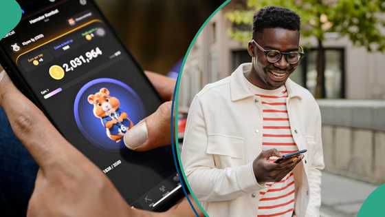 Hamster Kombat token: Crypto company announces exciting update for Nigerians and others