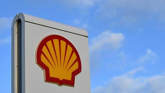 Shell plans to cut more costs, boost gas sales