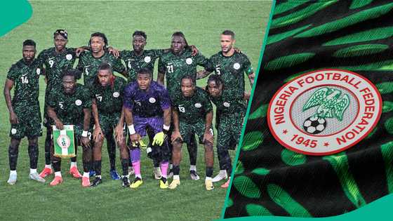 NFF chief provides major hint on next Super Eagles coach amid Eguavoen's recent admission