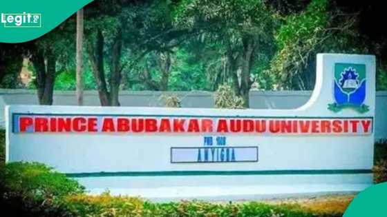 Kogi varsity finally speaks out after lecturer dies while having affair in hotel room with 200-level student