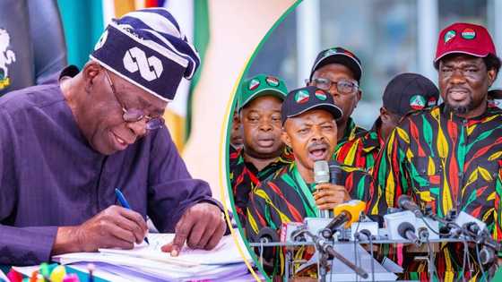 Date Tinubu may announce new minimum wage figures emerges