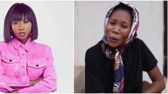 "Who's the madman that got the N869 billion census contract?" Skit maker Lizzy Jay blows hot in video