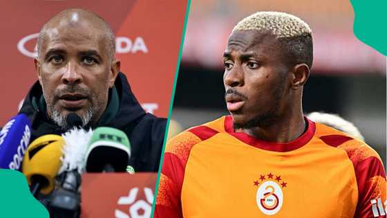 Eric Chelle explains why Victor Osimhen stayed at Galatasaray despite interest from Arsenal, others