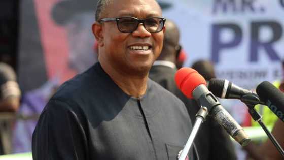 Reactions, buzz floods social media as APC candidate uses Peter Obi’s portrait to campaign in Delta state