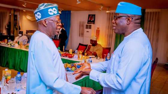 Governor Fayemi steps down for prominent APC presidential aspirant, gives reason