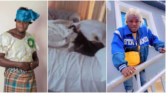 “Are you friends with Portable?”: Skit maker Zicsaloma compares his Dog to Portable for scattering his room