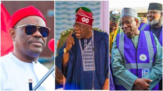 Ministerial List: Tinubu removes Wike, Ganduje's names over DSS report? Ally reacts