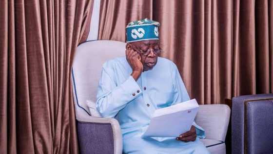 Bola Tinubu: APC candidate limits search for running mate to Borno, Kano, Kaduna