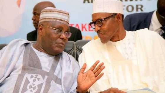 Yanzu Yanzu: Buhari ya mukurkushe Atiku a kananan hukumomi 5 na jihar Yobe