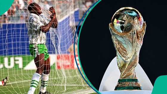 Rashidi Yekini's goal ranked among Africa’s top 6 most iconic FIFA World Cup moments