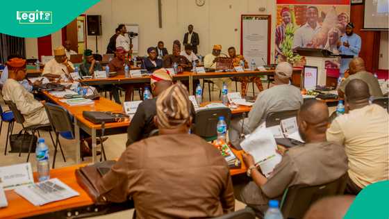 Oyo Assembly suspends local government chairman after viral video, gives reason