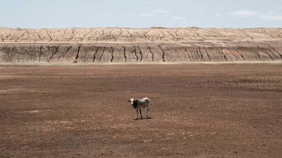 African countries to stand by 1.5C target at climate talks talks
