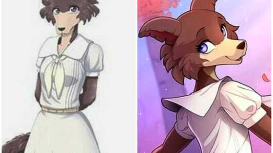 Beastars : qui est le personnage Juno dans l'animé et le manga ?