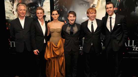 Top facts about the Harry Potter cast: what are the actors up to?