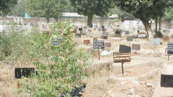 Kano: Bincike ya alakanta cutar Korona da mace-mace a jihar