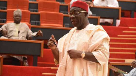 Is Ekweremadu suffering from Igbo curse? Lawmaker lands in big trouble days after dismissing Peter Obi