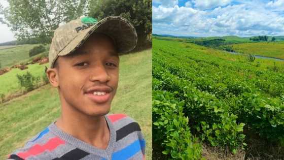 Young industrious farmer celebrates 40 hectares land investment, inspires many