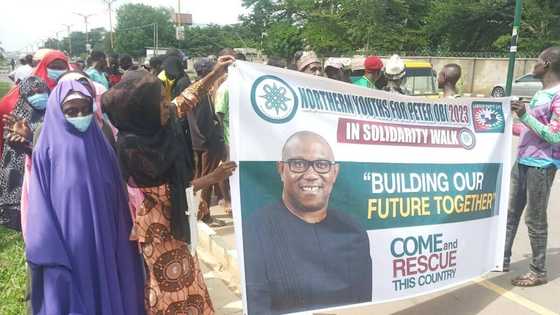 Peter Obi: Fulbe Professionals berate Miyetti Allah over comments on Labour Party candidate