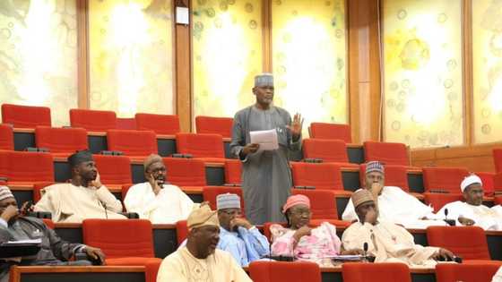 Tsohon Sanatan Kaduna ya fice daga PDP, ana kishin-kishin Kwankwaso zai ja shi NNPP