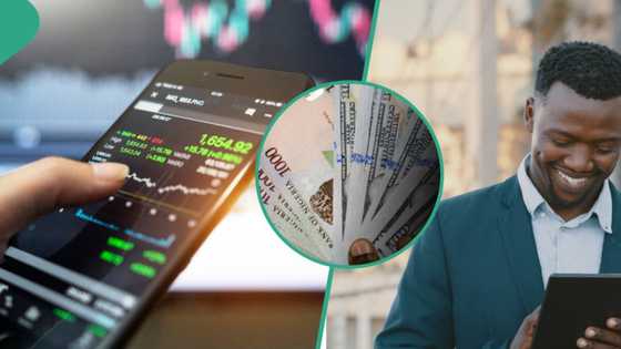 Cowrywise, PiggyVest, Compass and 7 other top investment apps in Nigeria