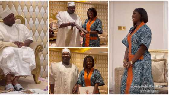 “He is like a father to her”: Video of Oba Saheed Elegushi hosting Hilda Baci at his palace causes online stir
