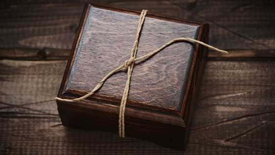 I Raised My 5 Siblings for 12 Years - Then A Hidden Box Revealed What They Were Doing Behind My Back