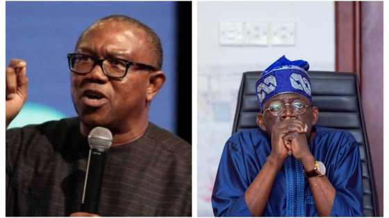 Yoruba group to 'OBIdients': Stop campaign of calumny against Tinubu