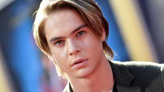 Interesting facts about Judah Lewis bio: age, height, movies and tv shows, is he gay?