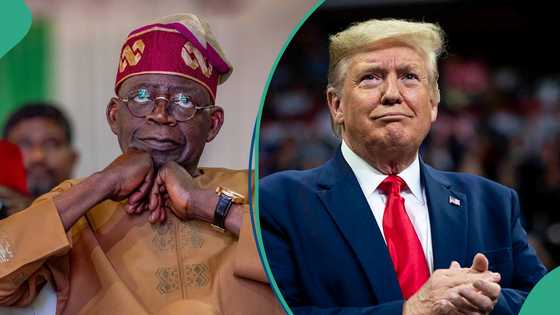 FG speaks on alternative after US govt reacts to import bans on 25 products by Nigerian government