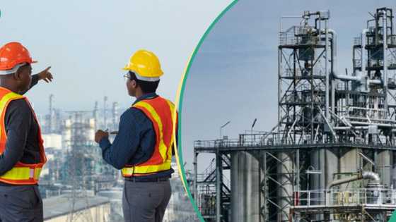 “They are not serious”: Former NNPC boss explains why PH refinery will not attract buyer at $2bn