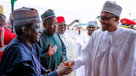 Losing Kano, Plateau would have been a blow - Buhari reacts after Supreme Court judgement