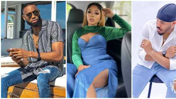 Celebrity fashionistas: Liquorose, 6 other BBNaija stars serve denim goals